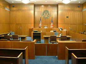 litigation support and expert witness testimony